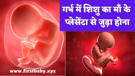placenta in hindi